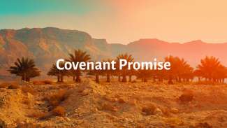 Covenant Promise (Genesis 15)