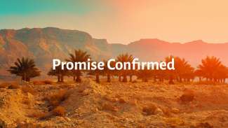 Promise Confirmed (Genesis 17)