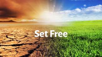 Set Free (Mark 5)