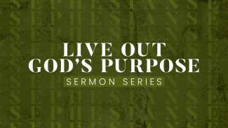 Live Out God's Purpose