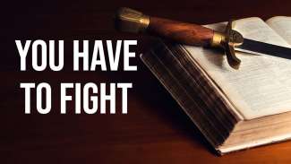 You Have to Fight