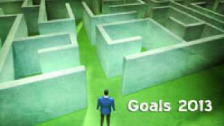 Goals 2013